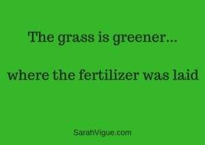 grass greener fertilizer sarah vigue