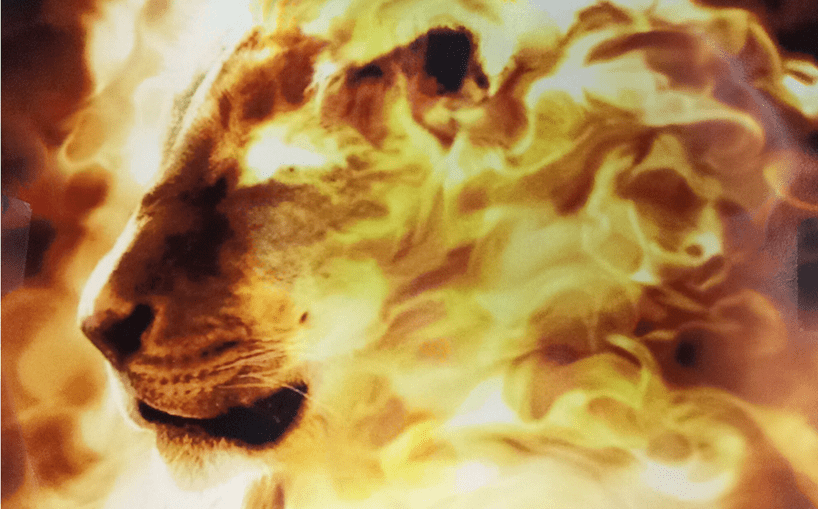 Fiery Lion of Judah Dreams and visions Ezekiel