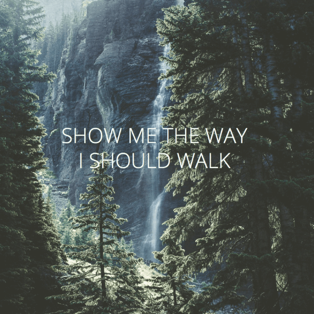 show me the way i should walk