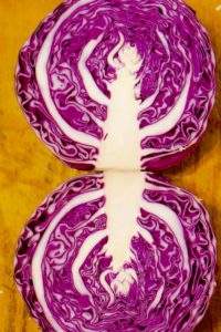 Sarah Lacey Vigue Meredibly red cabbage