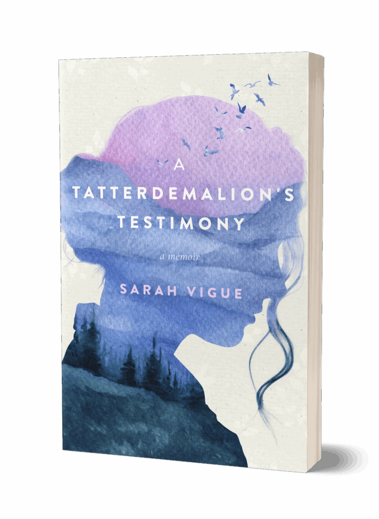 A Tatterdemalion's Testimony 3D book cover