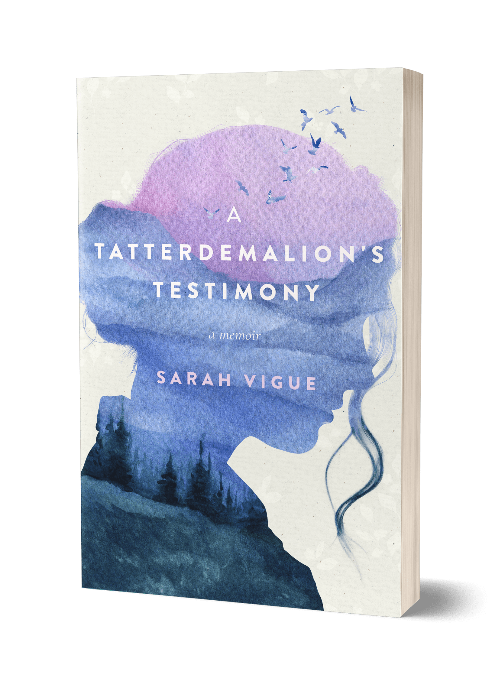 A Tatterdemalion's Testimony 3D book cover