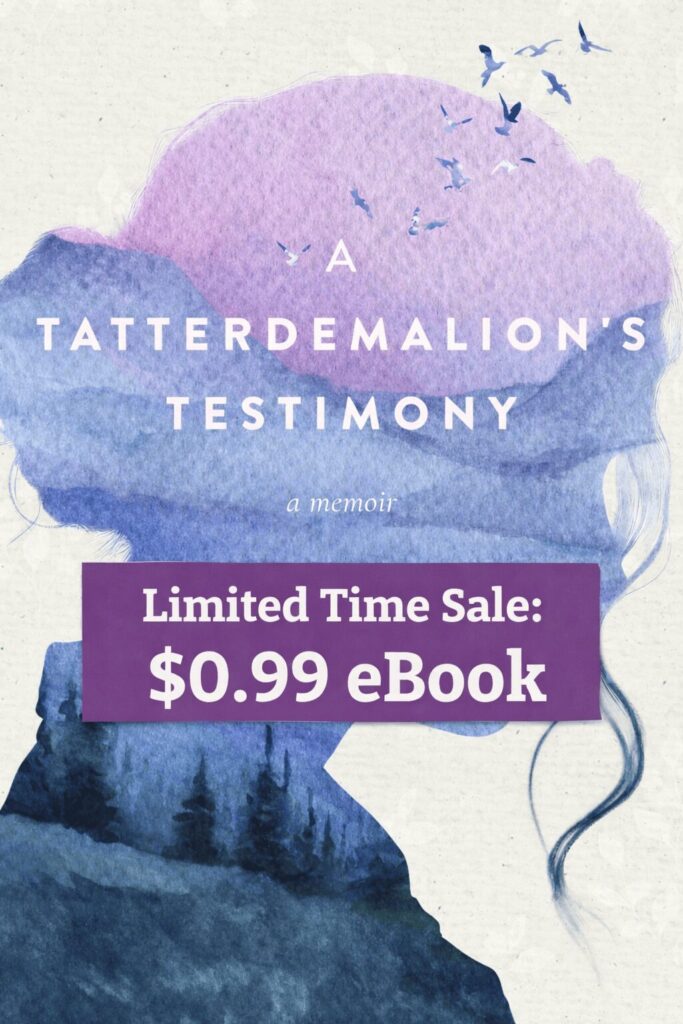 99 cent ebook Tatterdemalion image